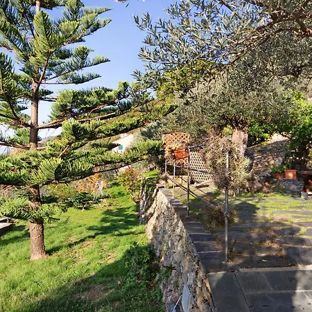 度假居 Casa Paradise 皮耶韦利古雷